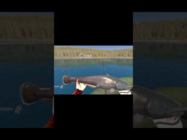 Реально ОГРОМНЫЙ сом! #рыбалкасмекалка #fishingsimulator #рыбалка #сом