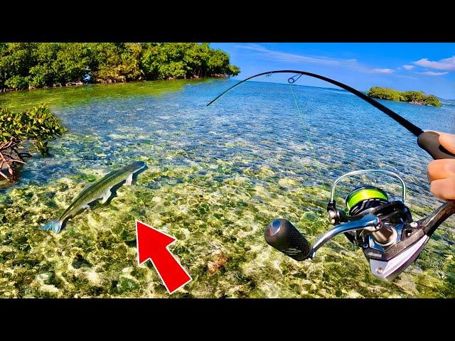 Ce poisson exotique spécial est presque impossible a pêcher !! (Pêche en Guadeloupe)