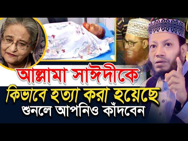 আল্লামা সাঈদীকে কিভাবে হ"ত্যা করা হয়েছে, শুনলে আপনিও কাঁদবেন-Mufti Amir Hamza waz | মুফতি আমির হামজা