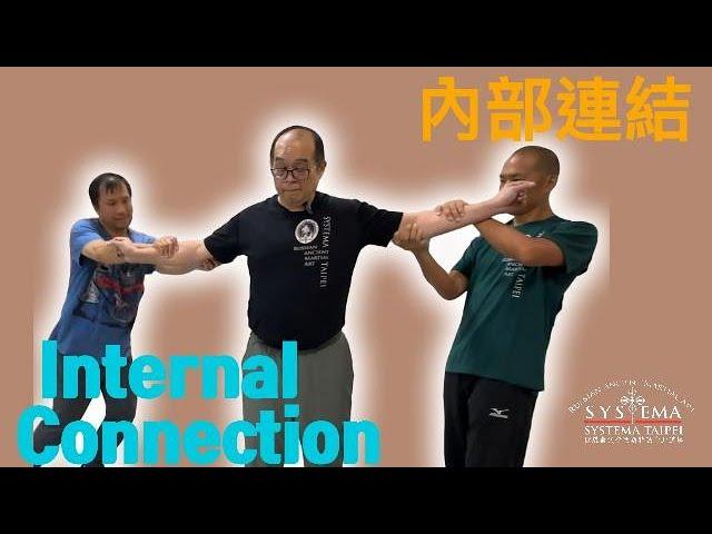 西斯特瑪：內部連結 Systema:Internal connection