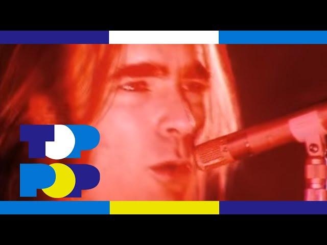 Status Quo - What You're Proposing • TopPop