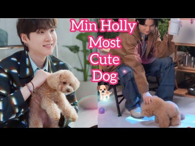 Min Holly Most Cute Dog 