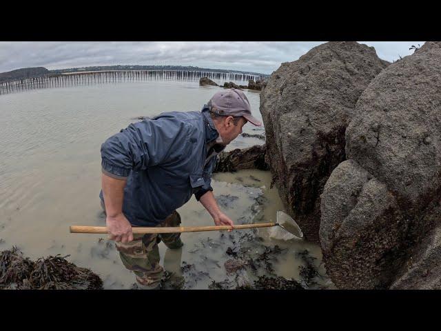 Comment pêcher son plateau de fruits de mer