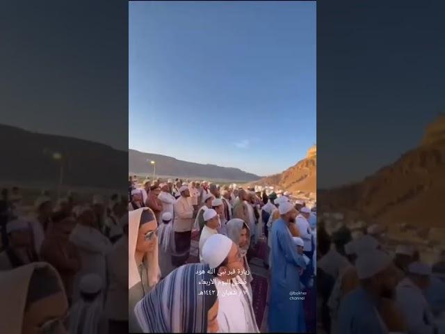 ziarah qubro nabiyullah hud || tarim