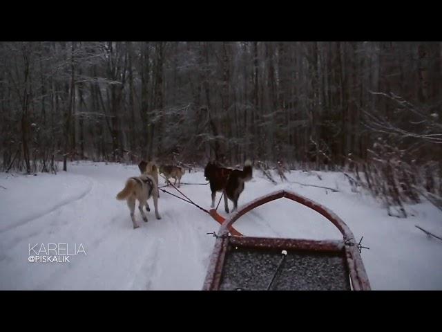 Выходные в Карелии. Короткое видео