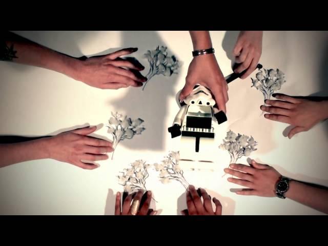 Paisley Blue - Binouz Blues