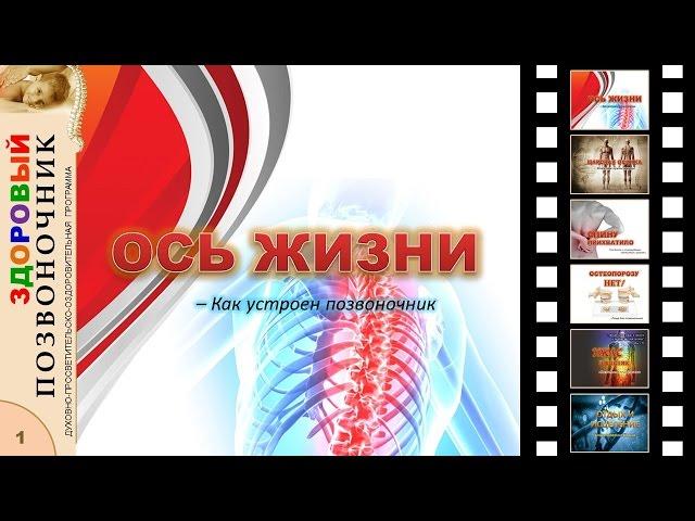 01.ОСЬ ЖИЗНИ – Как устроен позвоночник (ЗДОРОВЫЙ ПОЗВОНОЧНИК)