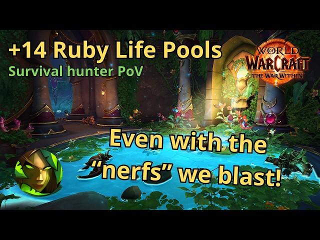 +14 Ruby life pools | Survival hunter PoV | Pre-patch for the war within | World of warcraft