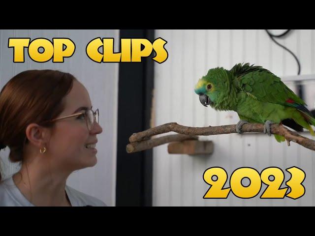 Top Alveus Clips of 2023