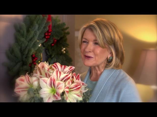 1800Flowers.com Martha Stewart