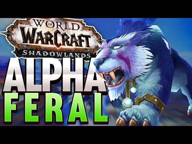 Feral Druid First Look! WoW Shadowlands Alpha!