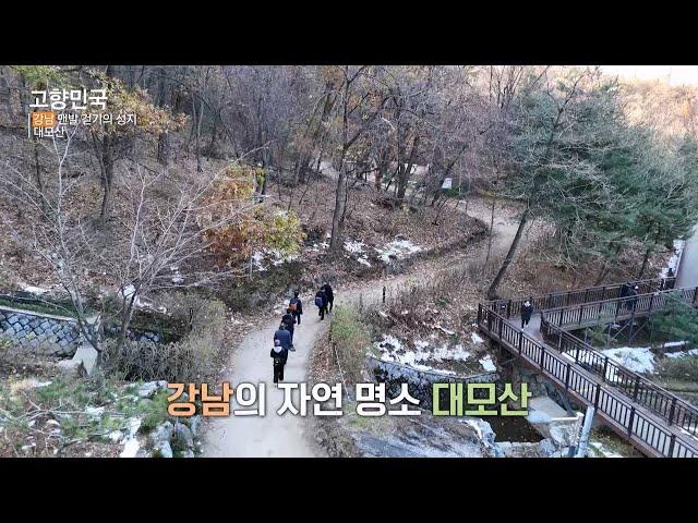 [EBS 고향민국] 맨발 걷기의 성지 대모산