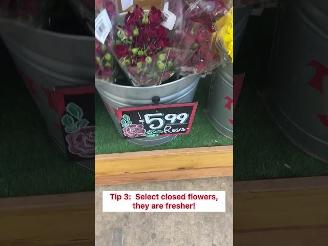 How To Shop Trader Joe’s Flowers like a Florist!