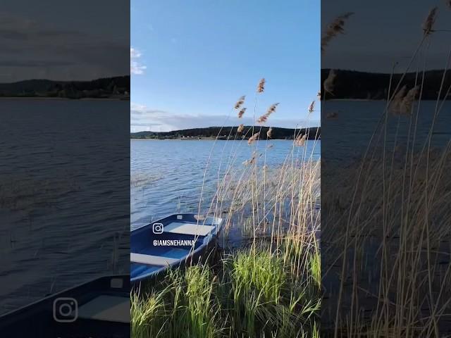 сказочная Карелия  #карелия #путешествие