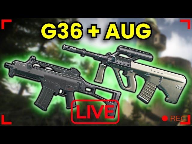 G36 & Aug Testing! --- || [PvP] Escape From Tarkov Livestream