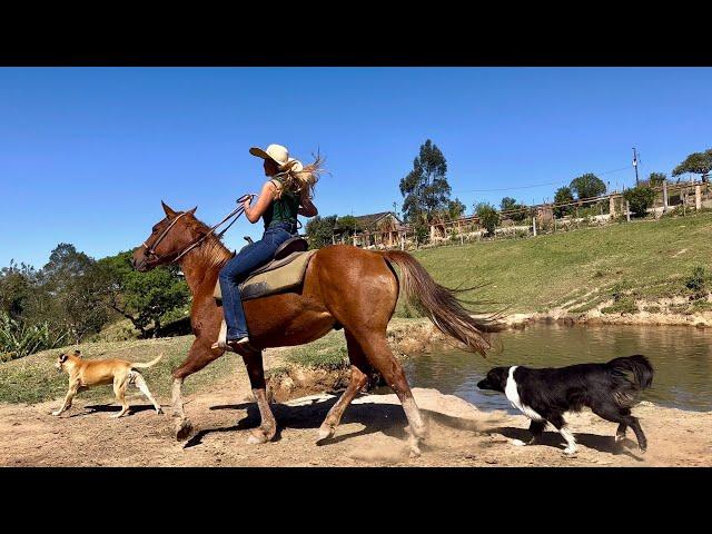 Almoço no sítio da Bruna # Carne de porco caipira no fogão a lenha ,e uma boa prosa…