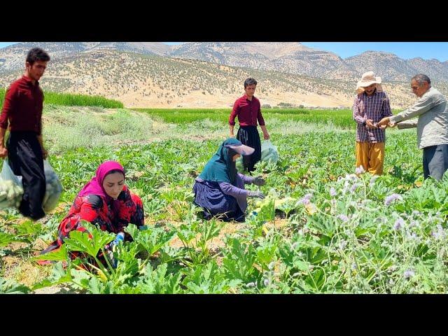 Elham worked in the farm with her parents to earn income