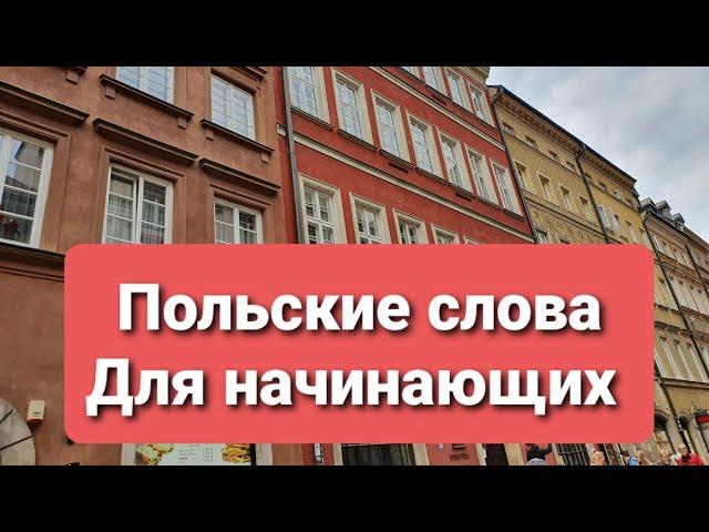 Самые популярные слова на польском языке Польские слова для начинающих Начинаем говорить по польски.