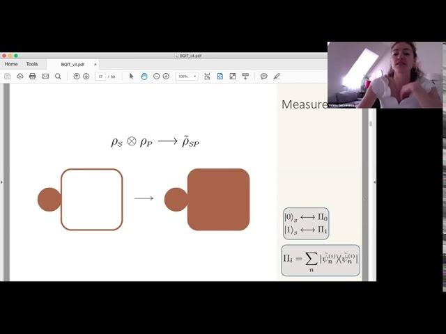 BQIT 2020: Yelena Guryanova (IQOQI) - Ideal Projective Measurements Have Infinite Resource Costs