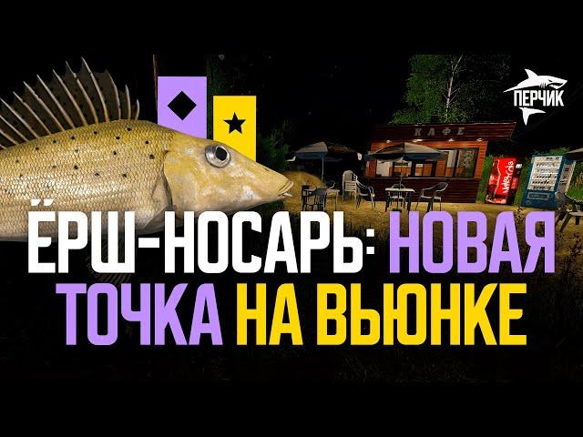 Новая точка: ёрш-носарь на реке Вьюнок ● Русская рыбалка 4 ● Перчик РР4