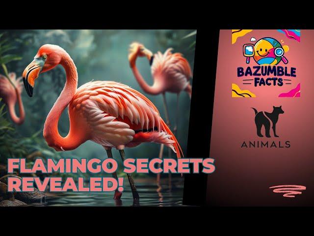 5 AMAZING Facts About Flamingos You Never Knew Before!