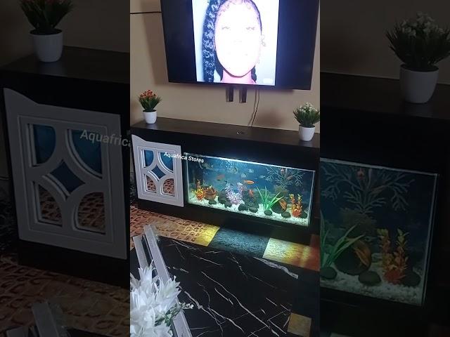 TV stand Aquarium Customized to ideal size, colour and design..                        0717687099.