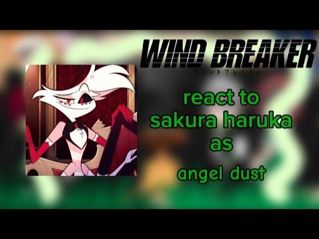 |• Wind breaker |• react to |• Sakura Haruka as |• Angel Dust 🫶 part 1/2