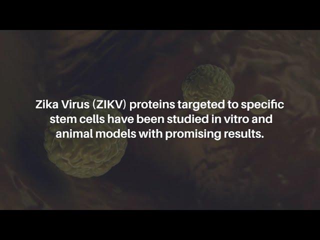 Zika Virus as a Treatment for Brain Cancer: A Systematic Review | Oncotarget