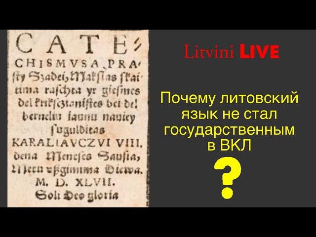 Почему литовский язык не стал государственным в ВКЛ? Обсудим в эфире Litvini Live.