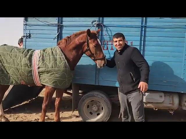 Асп бозори Ленинский район.