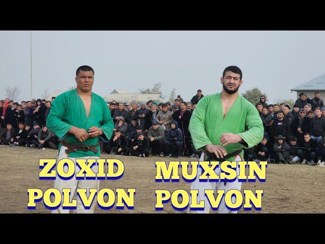 Zoxid polvon Muxsin polvon Bugun Sariosiyoda katta kurash tavoqlar boshlandi 7.11.2024