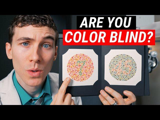 The Ishihara Color Blind Test (Are You Colorblind?)