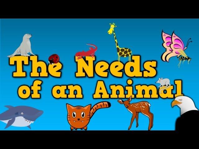 The Needs of an Animal   (song for kids about 4 things animals need to survive)