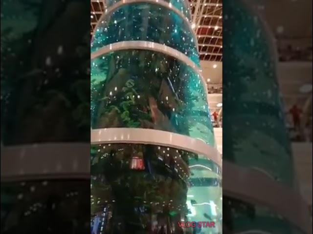 The tallest cylindrical aquarium in Moscow/ WORLD RECORDS GUINNESS