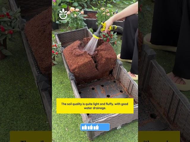 Use coco coir soil brick for your garden  #garden #namrose #gardening