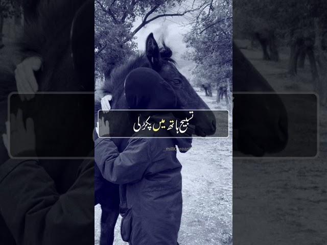 Motivational quotes in urdu | motivational quotes short video | motivational quotes  @ayesha56598