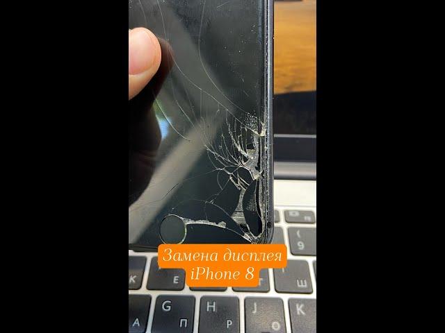 Замена экрана iPhone 8 и точка