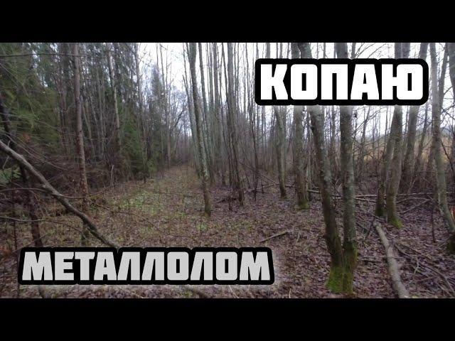 Копаю металлолом с МД 4030 pro