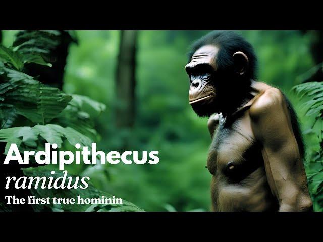 Ardipithecus ramidus:  the First True Hominin