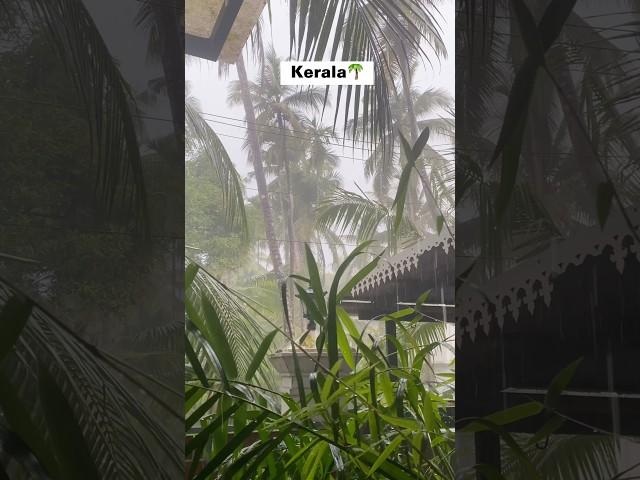 Kerala “Gods Own Country” ️ #shorts #kerala #viralvideo #godsowncountry #Rainy