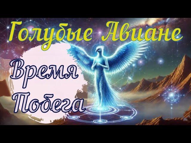 Голубые Авиане: Время Побега