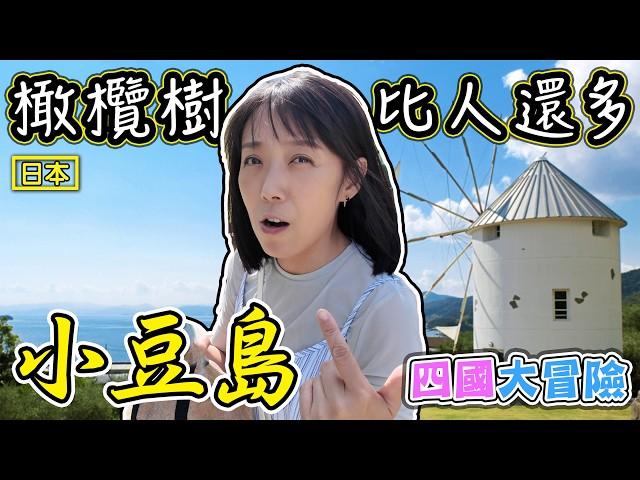 【日本四國大冒險】橄欖樹比人還多的小島 小豆島攻略 天使之路 米克諾斯日本版