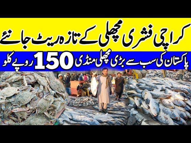 fish market | fish price in pakistan | wholesale fish market | karachi fishery fish rate | sea food