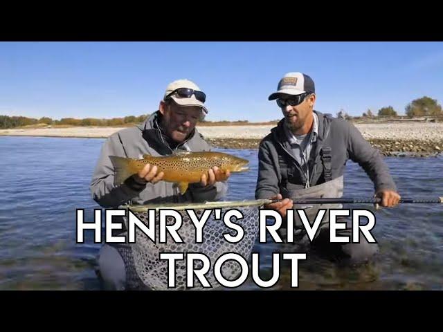 Henry's Fork Trout | Idaho