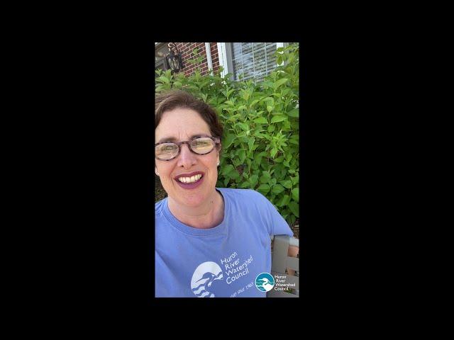 What’s special about native plants?