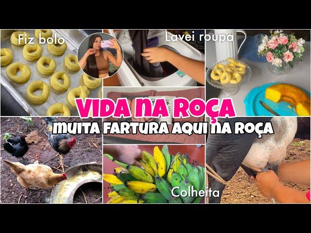 VLOGÃO AQUI NA ROÇA ‍| ROÇA TEM MUITA FARTURA  fiz bolo, lavei roupa, colheitas…