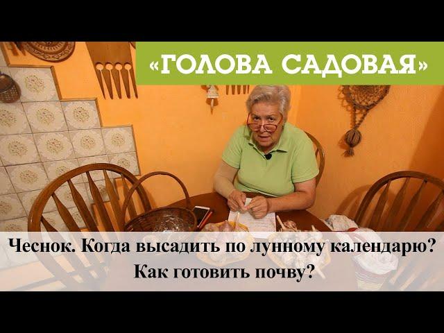 Голова садовая - Чеснок. Когда высадить по лунному календарю? Как готовить почву?