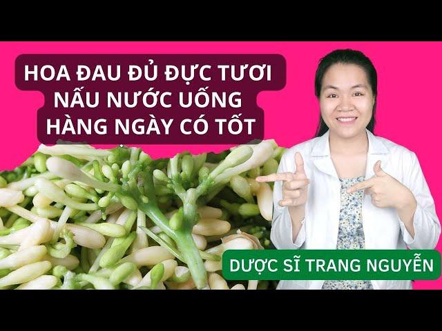 Hoa đu đủ đực tươi nấu nước uống hàng ngày có tốt hay không? | Dược Liệu | Dược Sĩ Trang Nguyễn