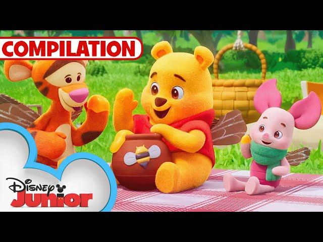 Playdate with Winnie the Pooh Shorts  | Compilation | @disneyjr