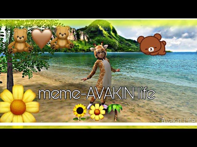 Meme-AVAKIN Life